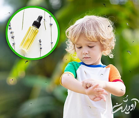 فواید گیاه اسطوخودوس گیاهان دارویی برای لاغری،گیاهان دارویی و خواص آنها